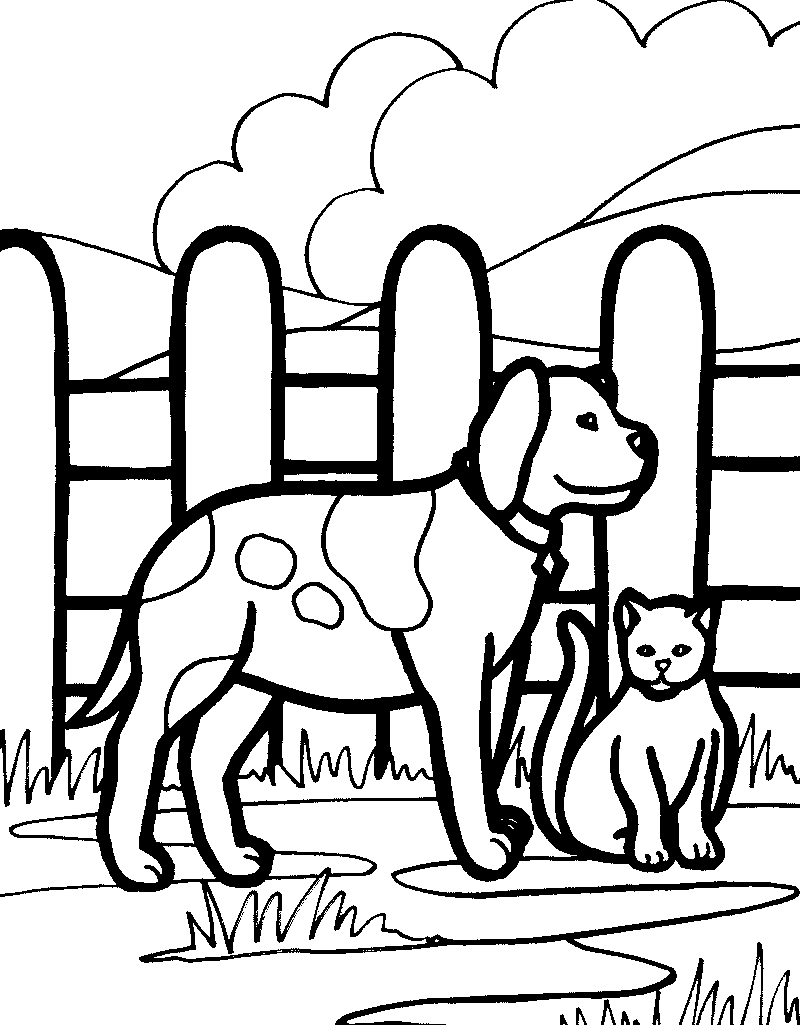 Gambar Kartun Kucing Dan Anjing Bilik Wallpaper