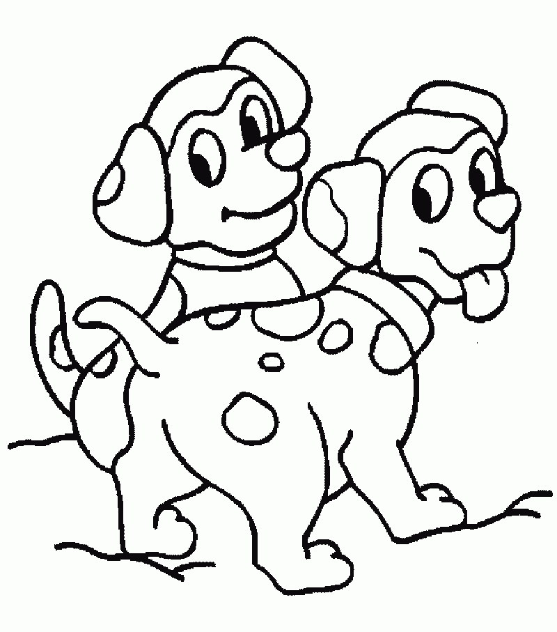 mewarna anjing 09
